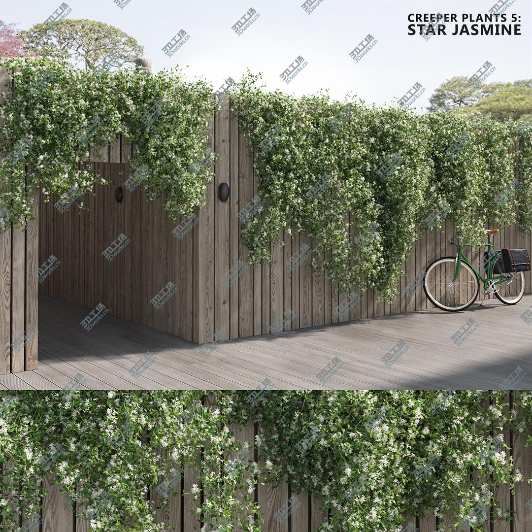 images/goods_img/202105073/Star Jasmine (-GrowFX) 3D model/1.jpg